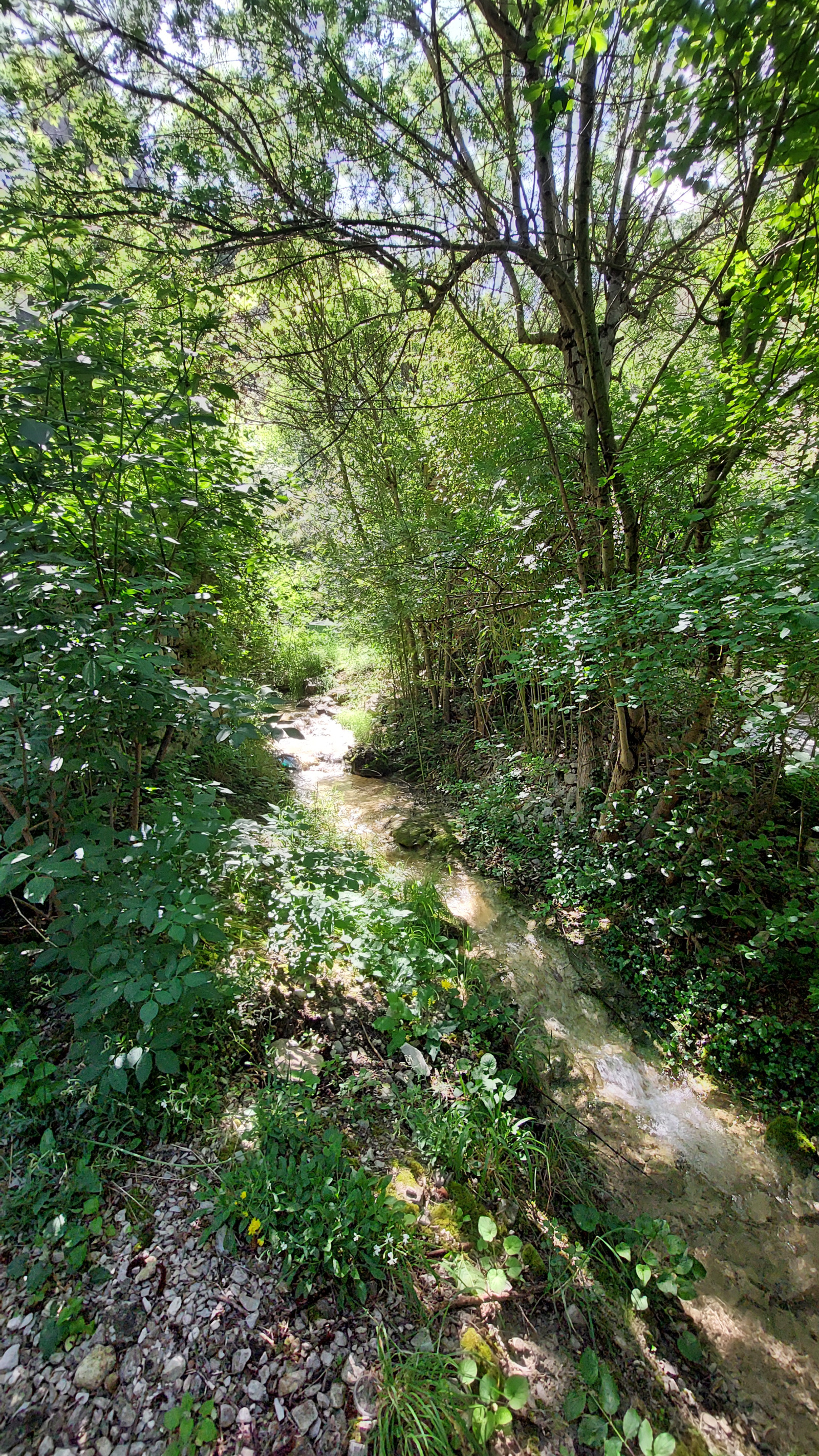 Image_, Maison de village, Pilles, ref :AO1804