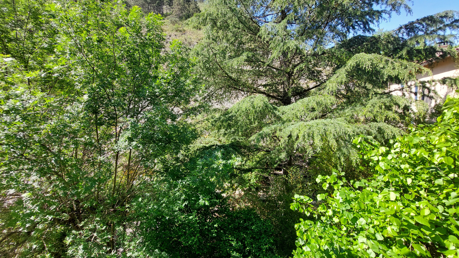 Image_, Maison de village, Pilles, ref :AO1804