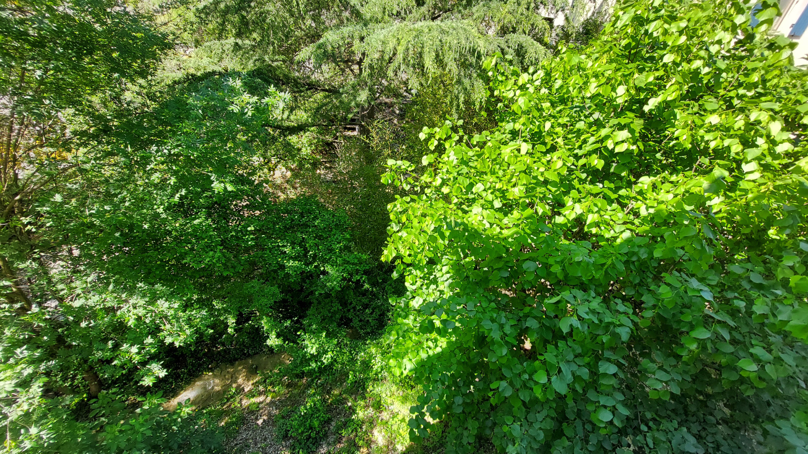 Image_, Maison de village, Pilles, ref :AO1804