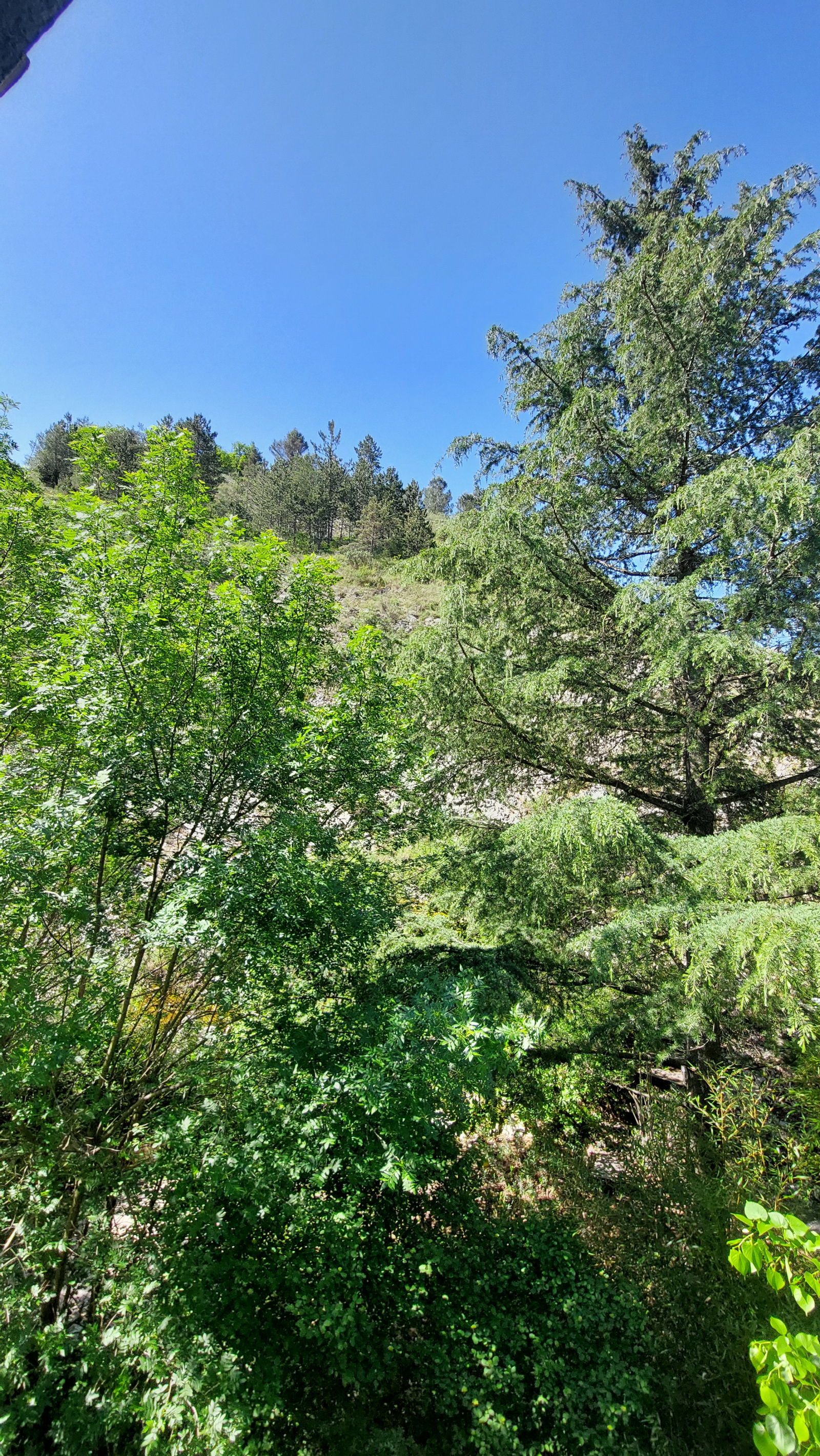 Image_, Maison de village, Pilles, ref :AO1804