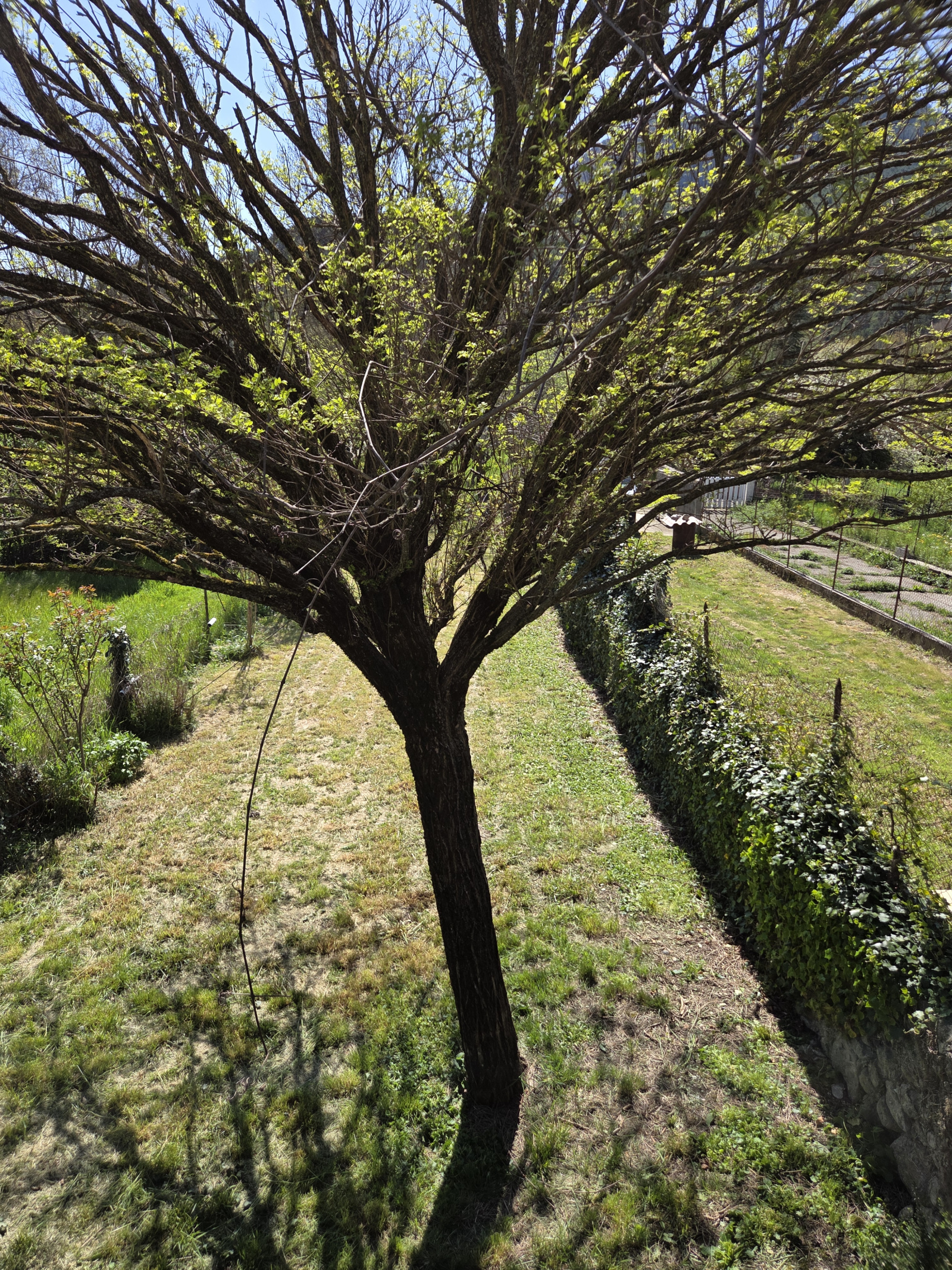 Image_, Maison, La Motte-Chalancon, ref :MA1873