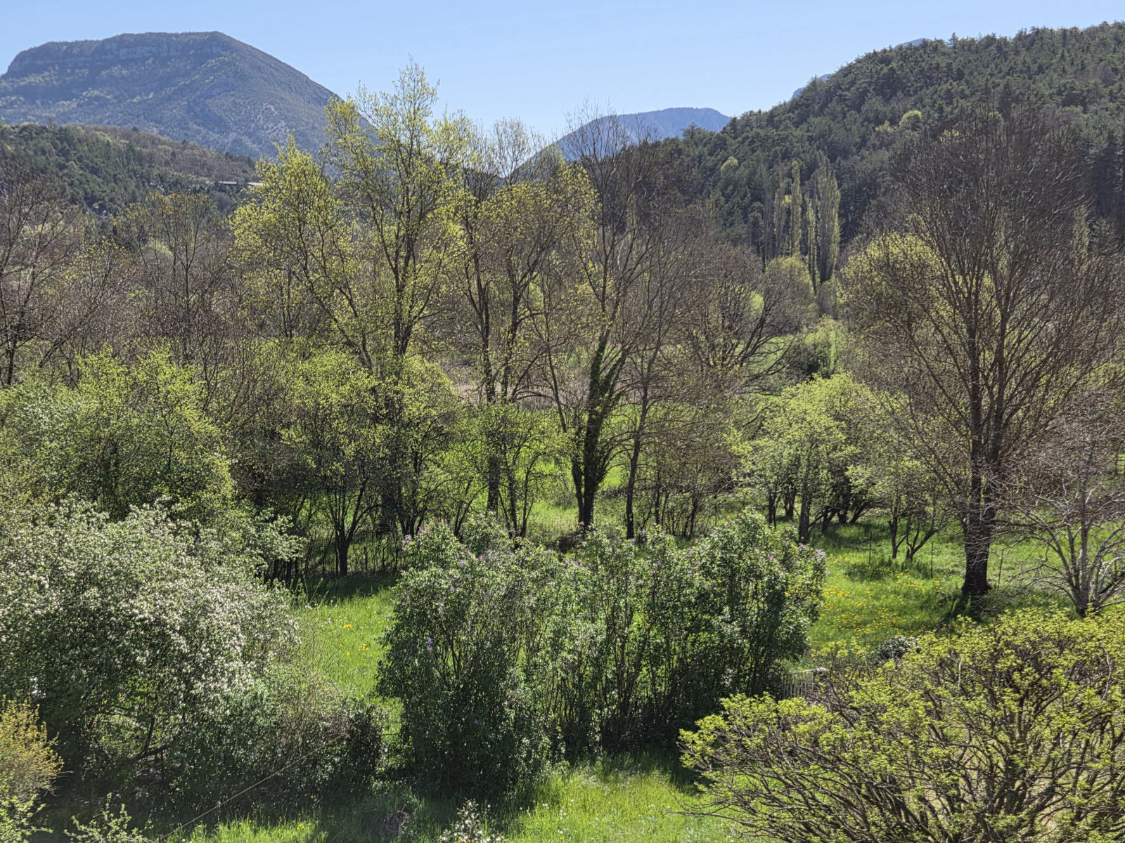 Image_, Maison, La Motte-Chalancon, ref :MA1873