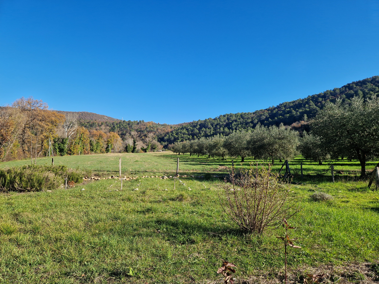 Image_, Propriete, Aubres, ref :MA1838