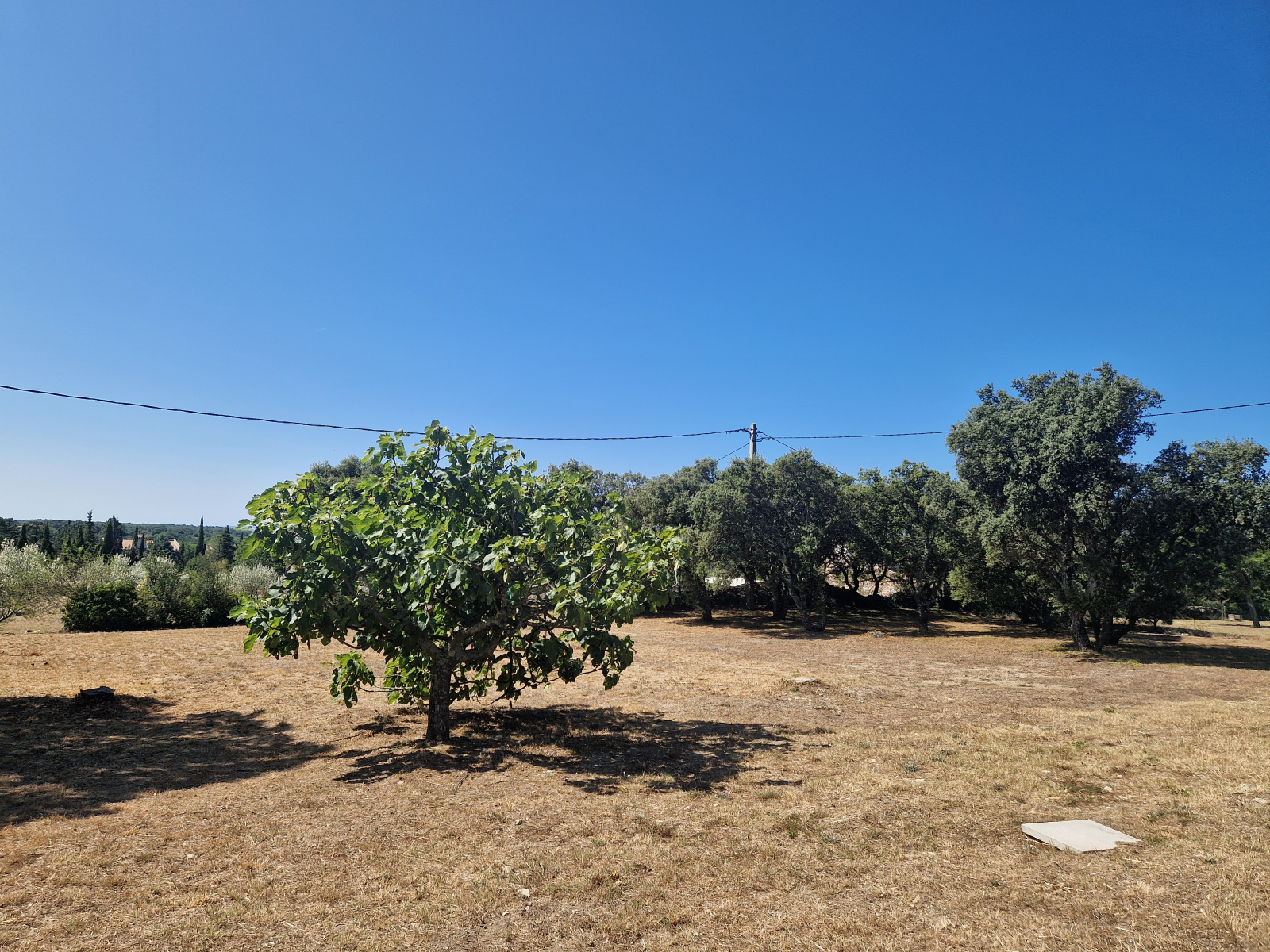 Image_, Terrain, Grignan, ref :AO1753