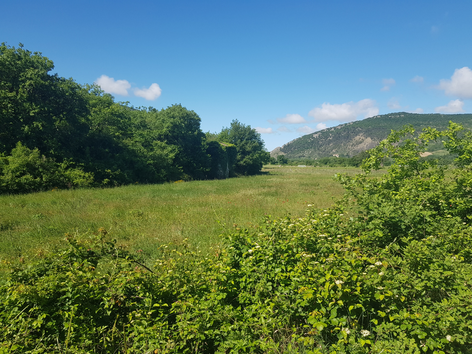 Image_, Terrain agricole, Pilles, ref :MA1802