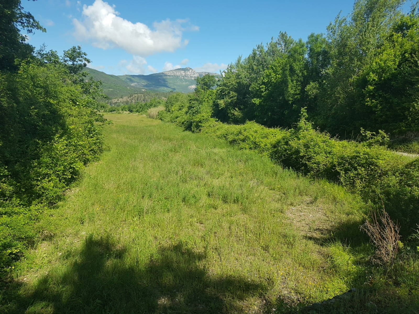 Image_, Terrain agricole, Pilles, ref :MA1802