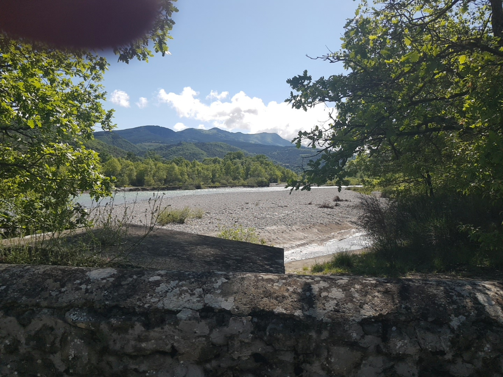 Image_, Terrain agricole, Pilles, ref :MA1802