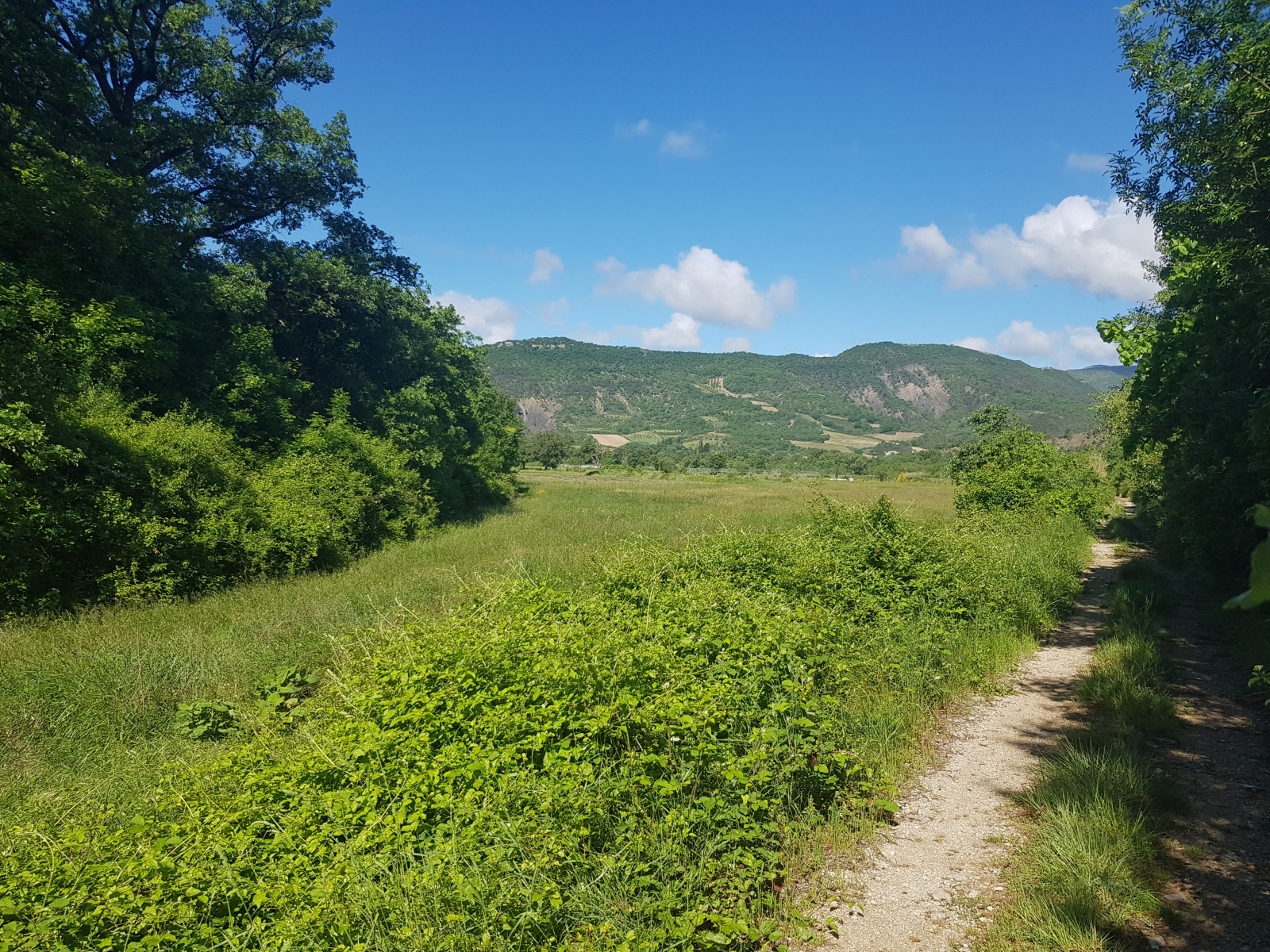Image_, Terrain agricole, Pilles, ref :MA1802