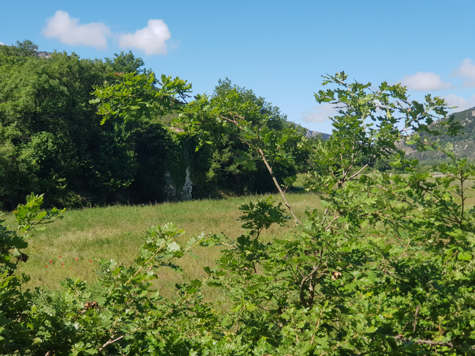 Image_, Terrain agricole, Pilles, ref :MA1802
